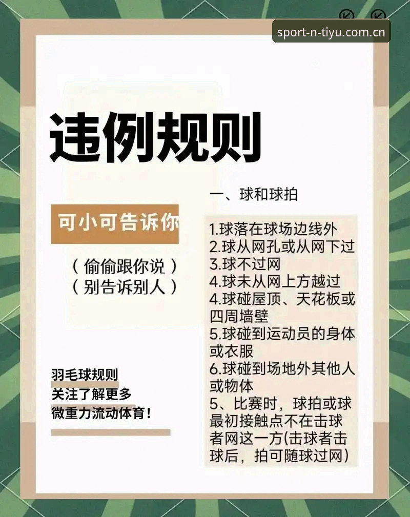 N体育官网安全使用指南:资深用户教你避开陷阱